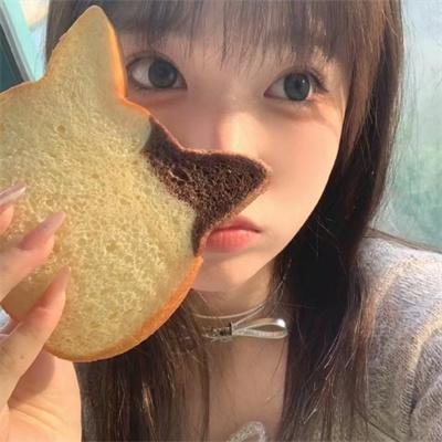 猪猪侠大电影·海洋日记