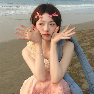 顽皮豹